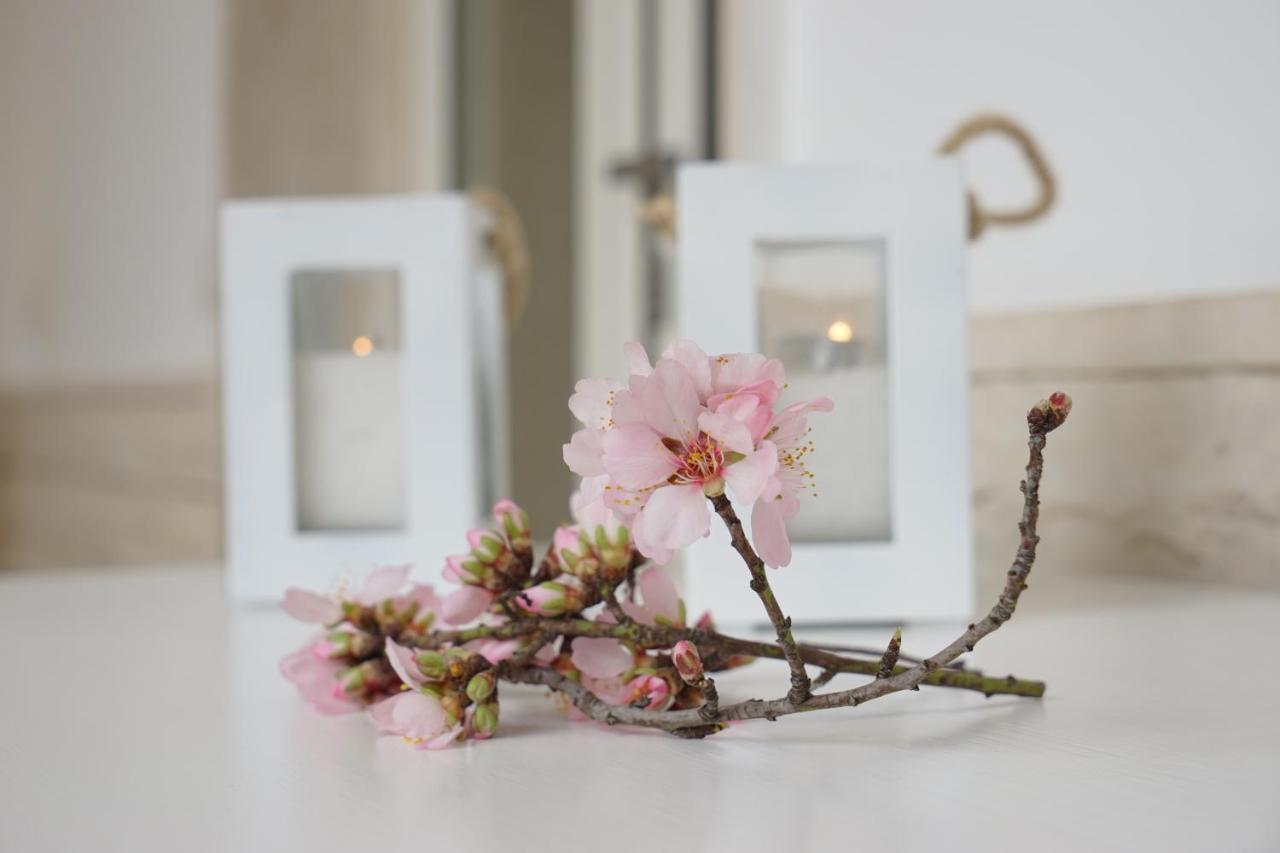 Femily B&B Bed And Breakfast Di Puglia In - Bari Grumo Appula Zewnętrze zdjęcie