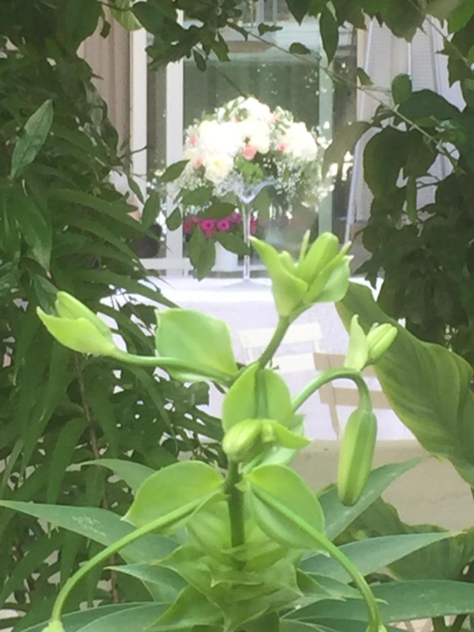 Femily B&B Bed And Breakfast Di Puglia In - Bari Grumo Appula Zewnętrze zdjęcie